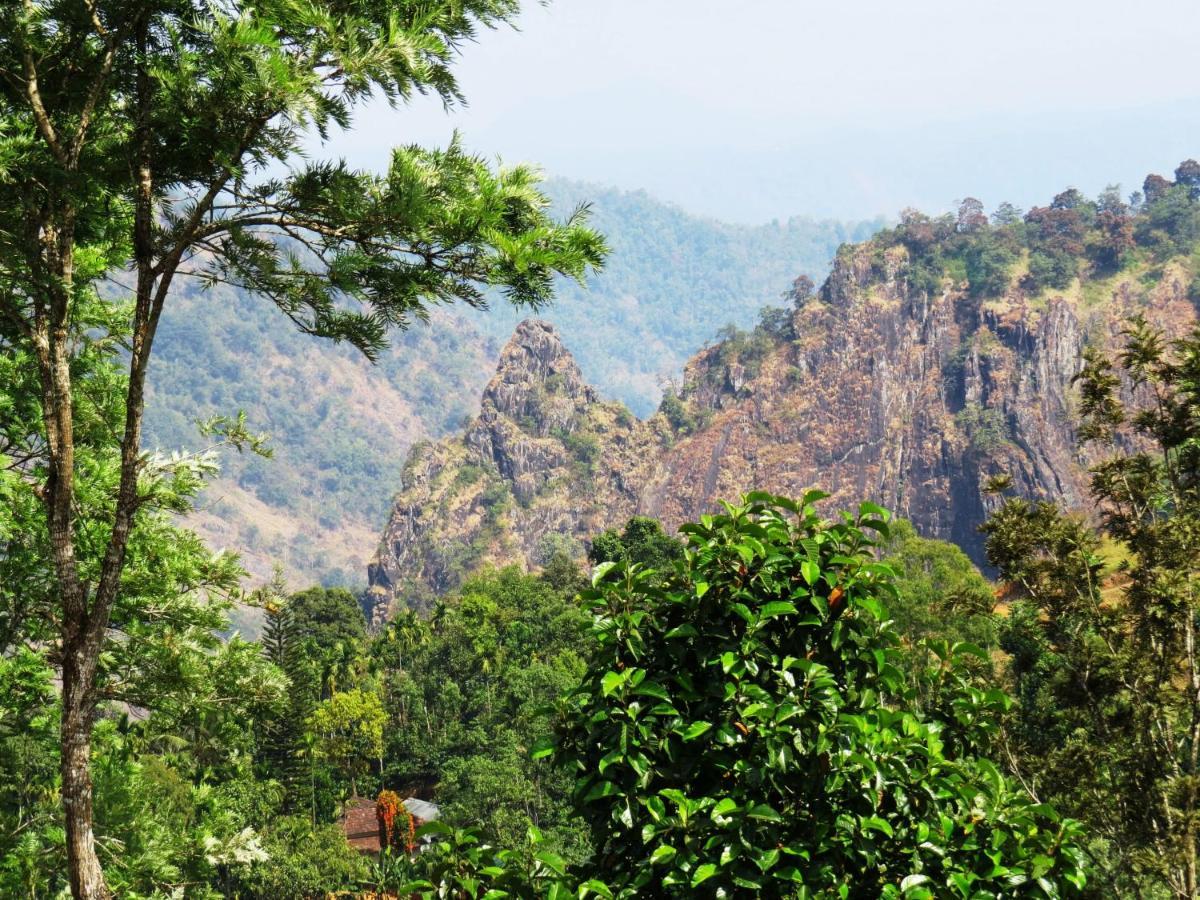 Villa Tesori Homestay Wayanad Meppādi Zewnętrze zdjęcie